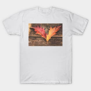 The Colors Of October T-Shirt